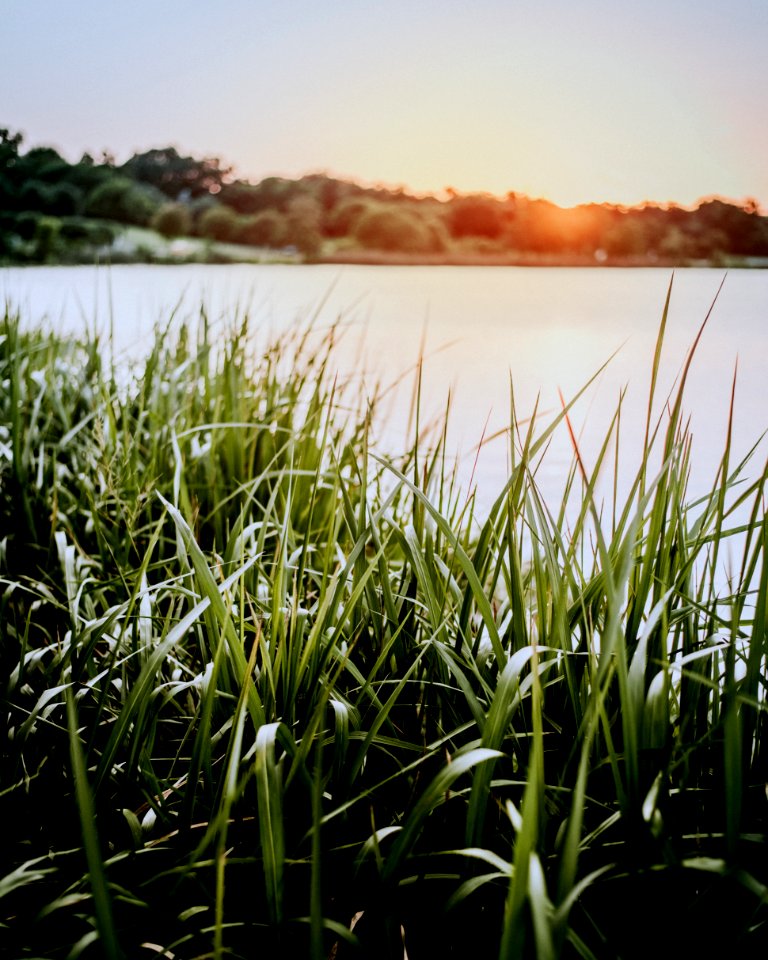 Sunset, White rock lake, Dallas