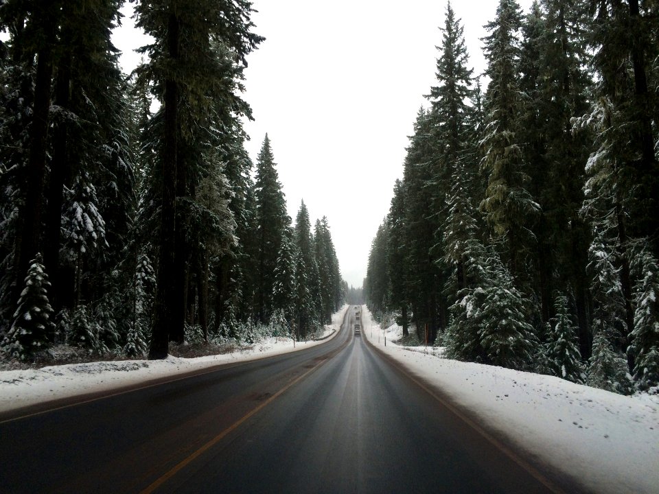 Three fingered jack, United states, Road trip