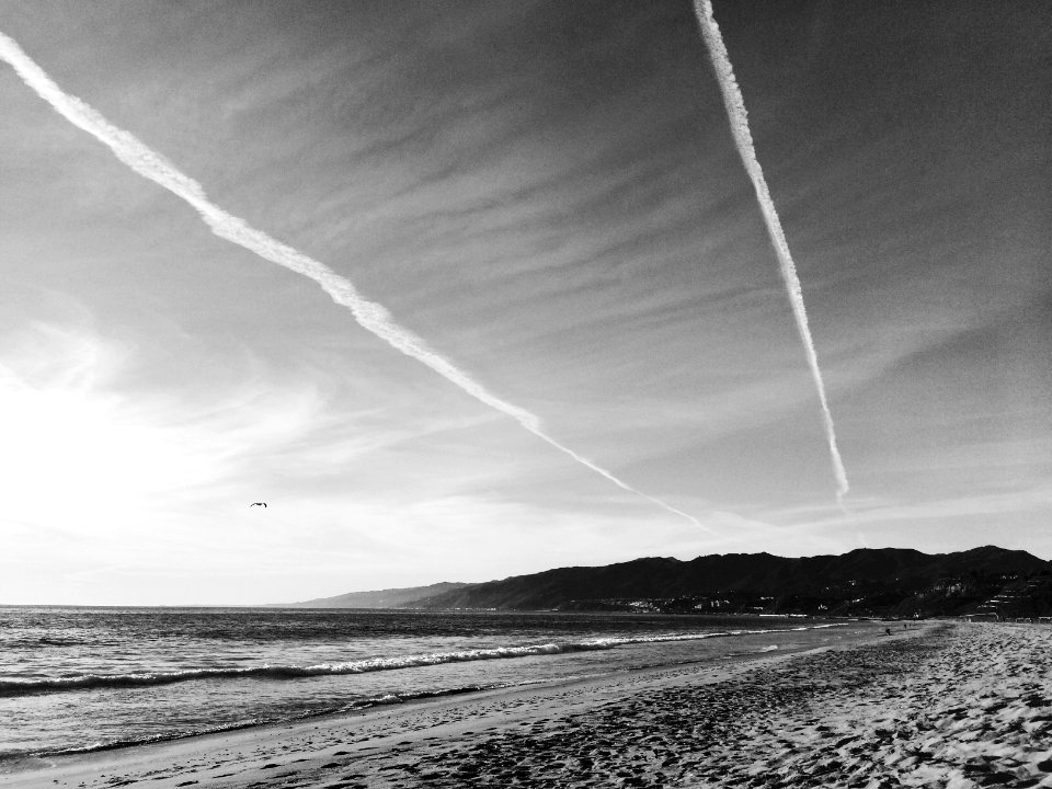 Ocean front walk, Santa monica, Ca 90402