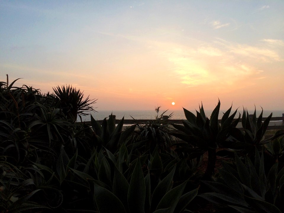 Santa monica, 12001264 ocean ave, Ca 90401