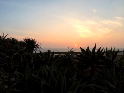 Santa monica, 12001264 ocean ave, Ca 90401