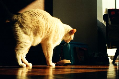 untitled