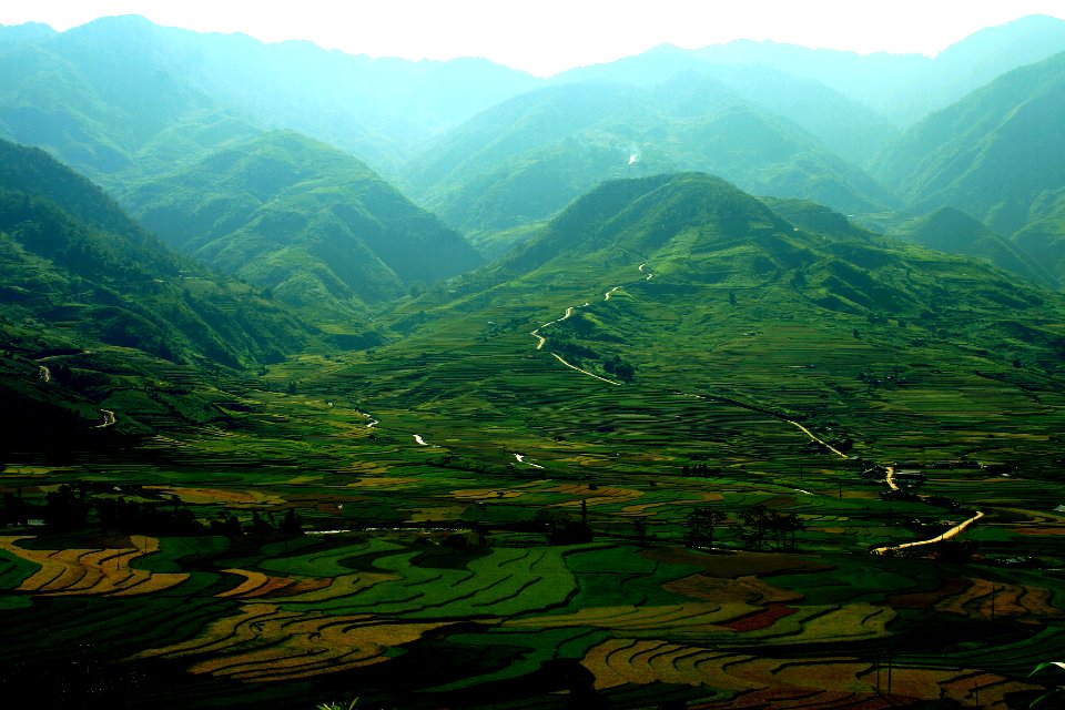 Vietnam, Tt m cang chi, Terrace