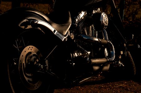 black cruiser motorcycle near green bush