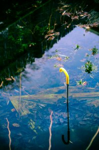 Upside down, Submerged, Under water photo