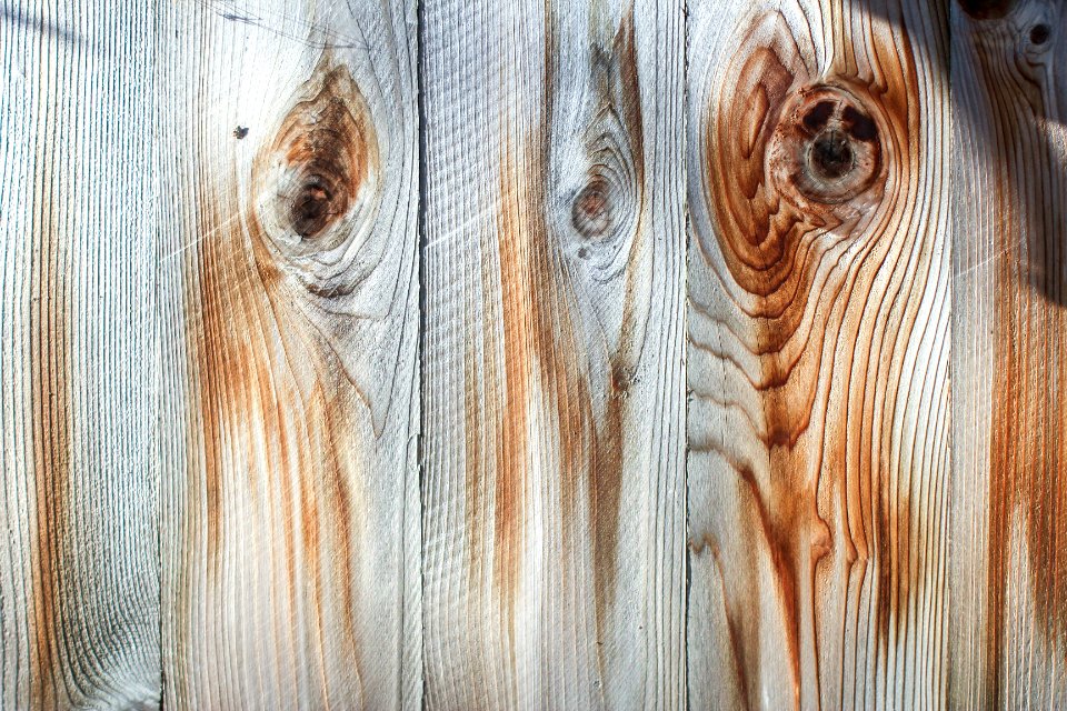 Light, Tree, Boards