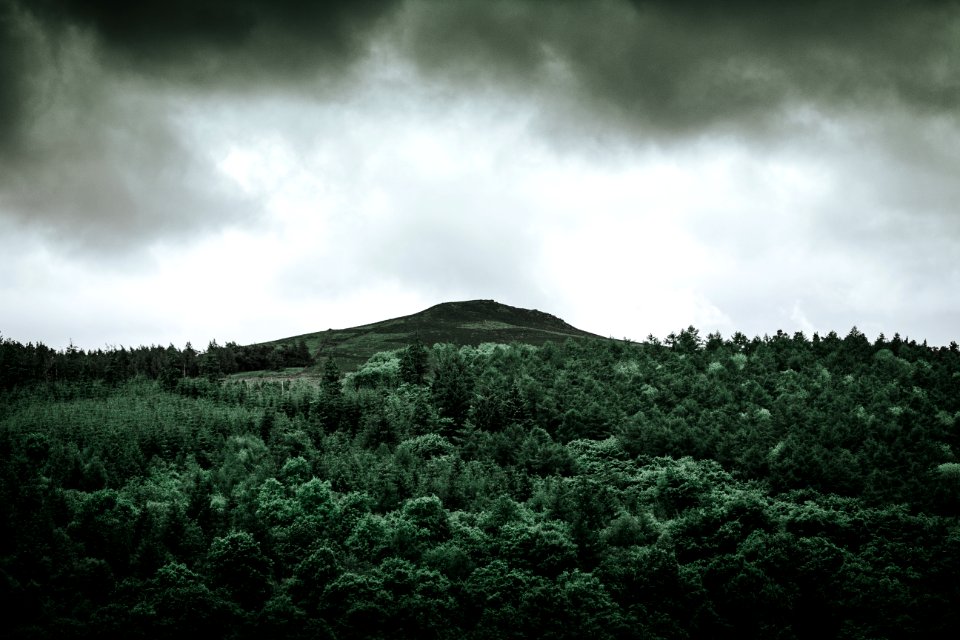 trees near hill under gray clouds