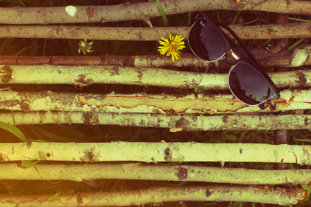 black framed Ray-Ban Wayfarer sunglasses on wooden logs photo