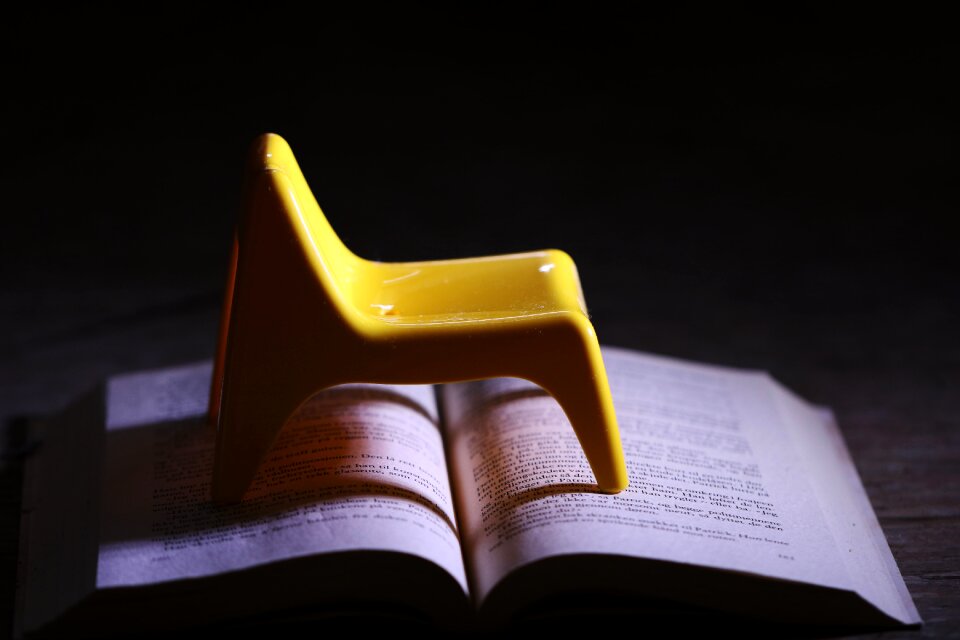 Tiny yellow black book