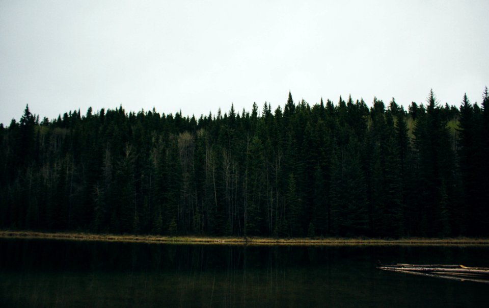 Camping, Hike, Outdoor