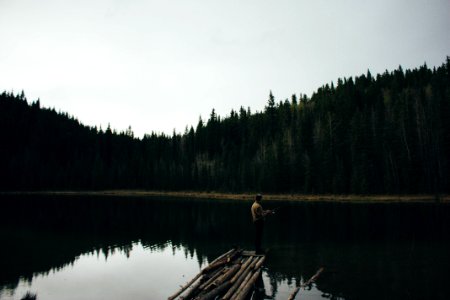 Activity, Reflection, Canon