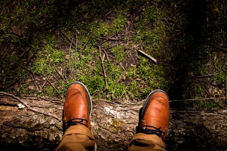 Scott county park, Eldridge, United states