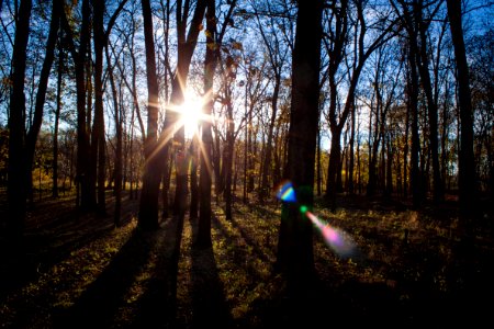 Waterloo, United states, Silhouette