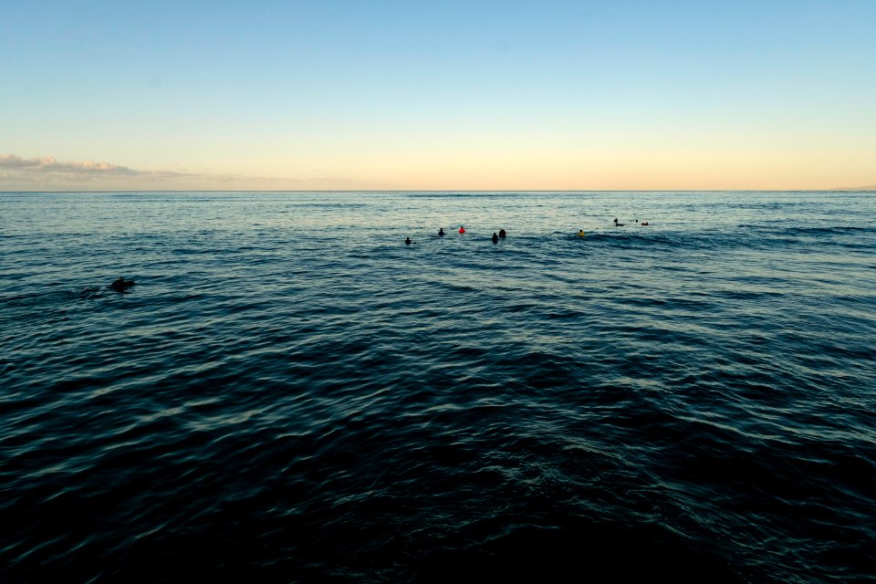 people on sea during daytime