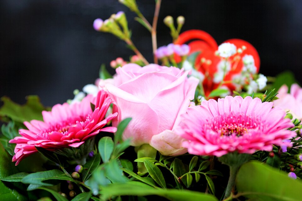 Bloom pink bouquet of flowers