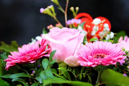 Bloom pink bouquet of flowers
