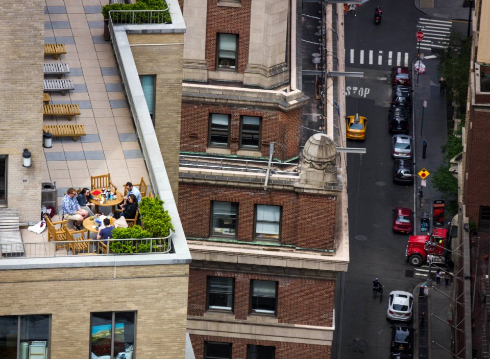 Summer, Nyc, Picnic