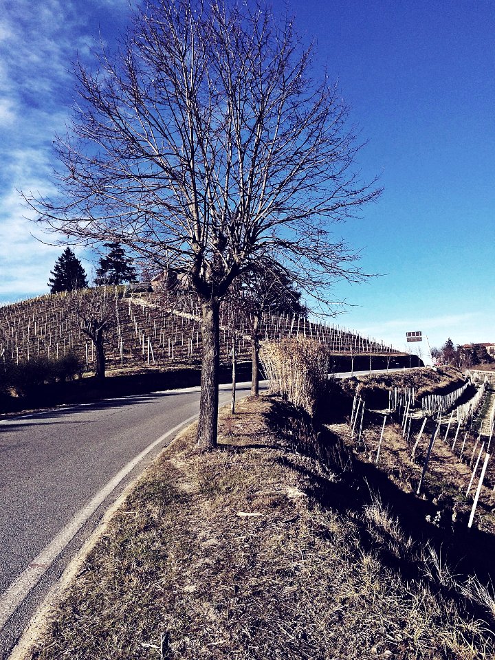 Road, Sky, Italy