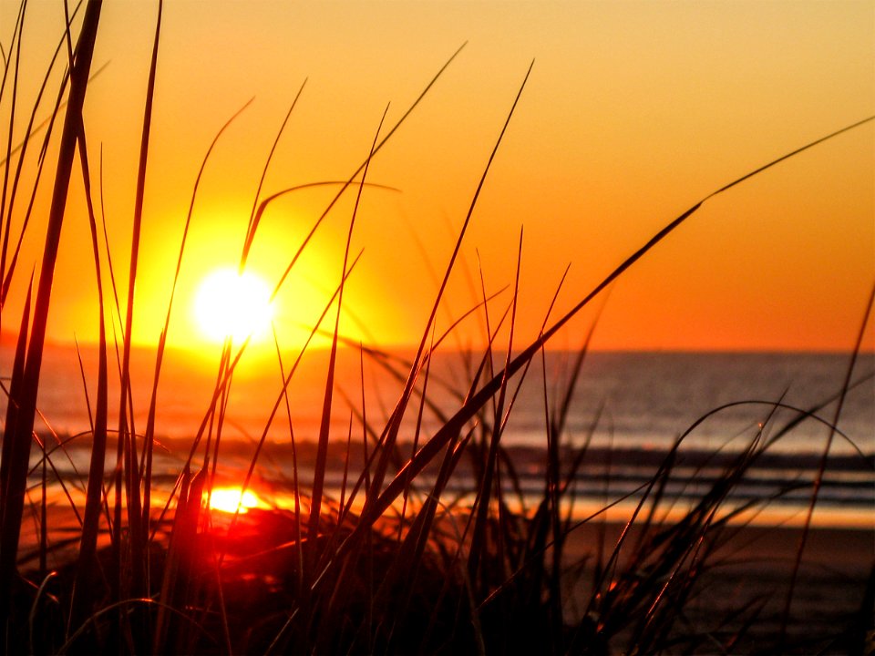 Old orchard beach, United states, Orange