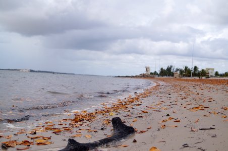 Praia do saco, Brazil, Fishing