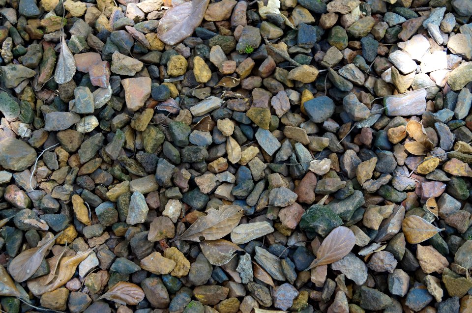 Sheet, Nature, Texture