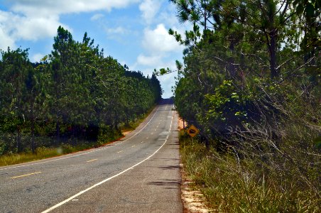 Brazil, Praia do forte, Asfalto