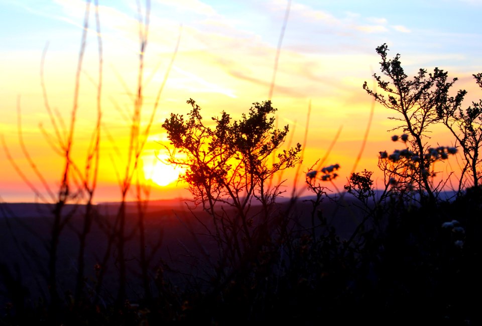 Top of the world, Laguna beach, United states