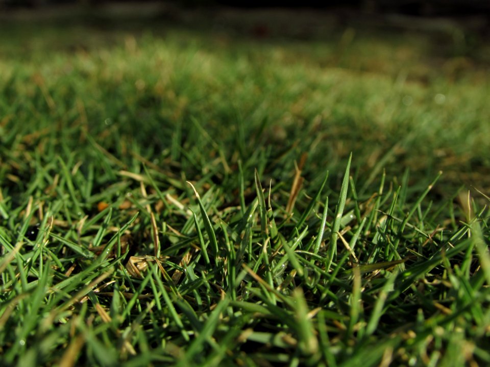 Belo jardim, Brazil, Sole