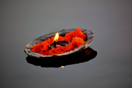 Floating, Flower, River