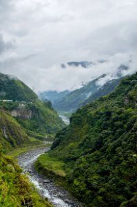 Banos, Ecuador, Plants
