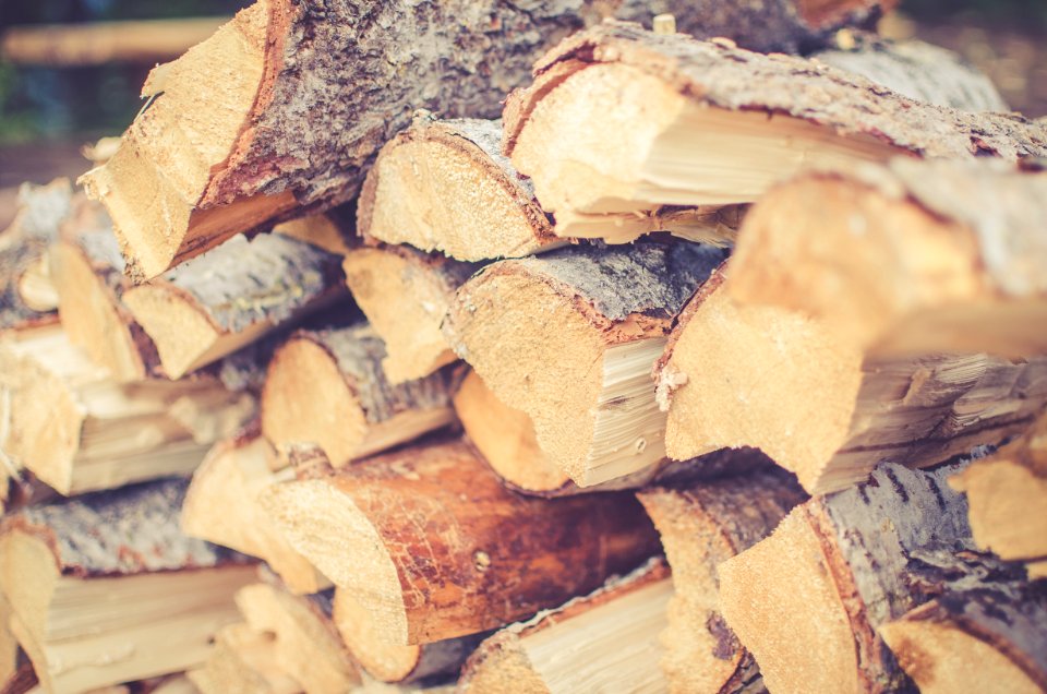 Cut trees, Lumber, Stacked wood