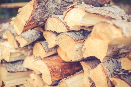 Cut trees, Lumber, Stacked wood photo