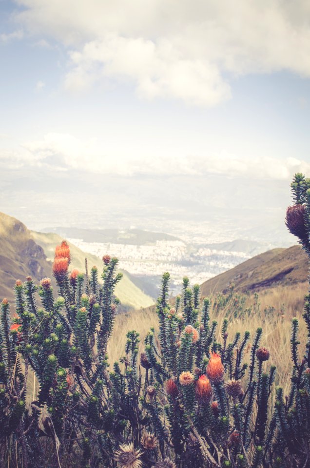 Quito, Ecuador, Air