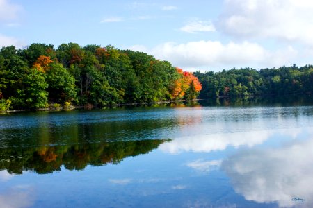 Wilcox lake, Richmond hill, Canada