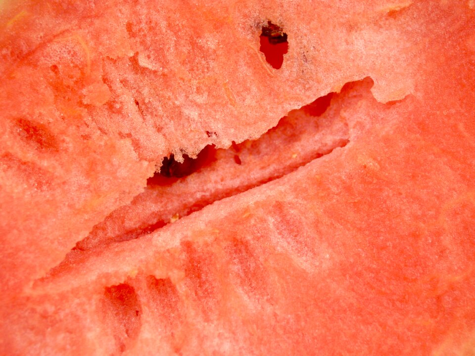 Seeded delicious tropical