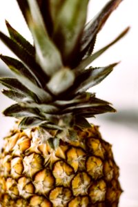 shallow focus photography of pineapple photo