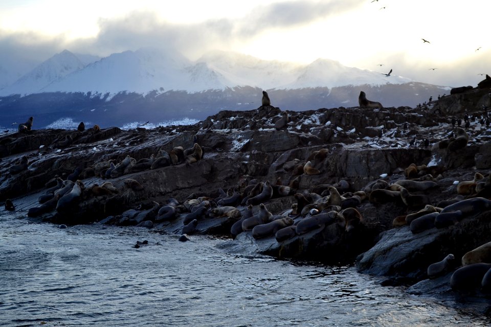 Ushuaia, Argentina, Cold