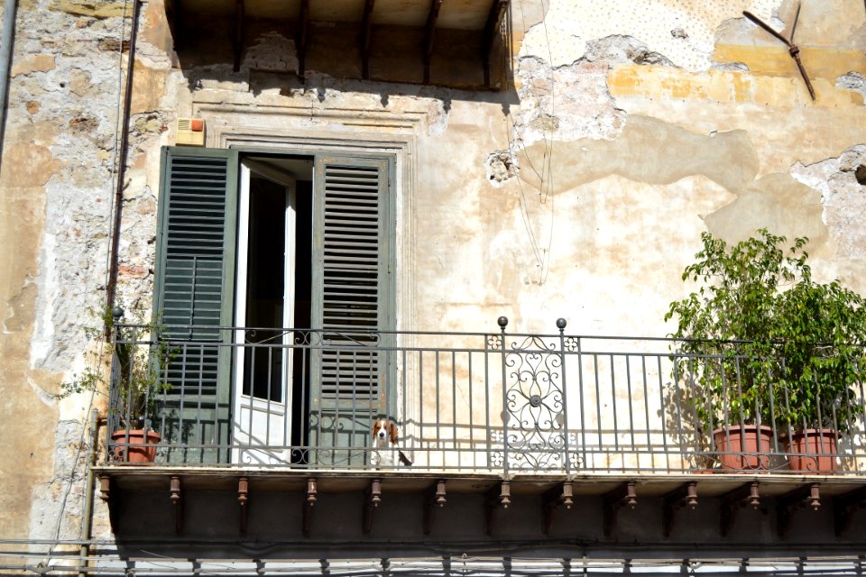 Palermo, Italy, Window