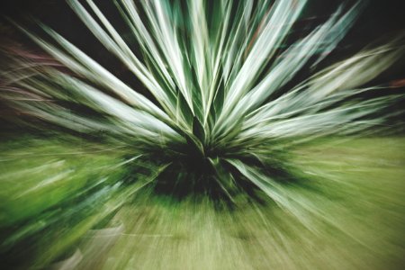 Spike, Green, Motion photo
