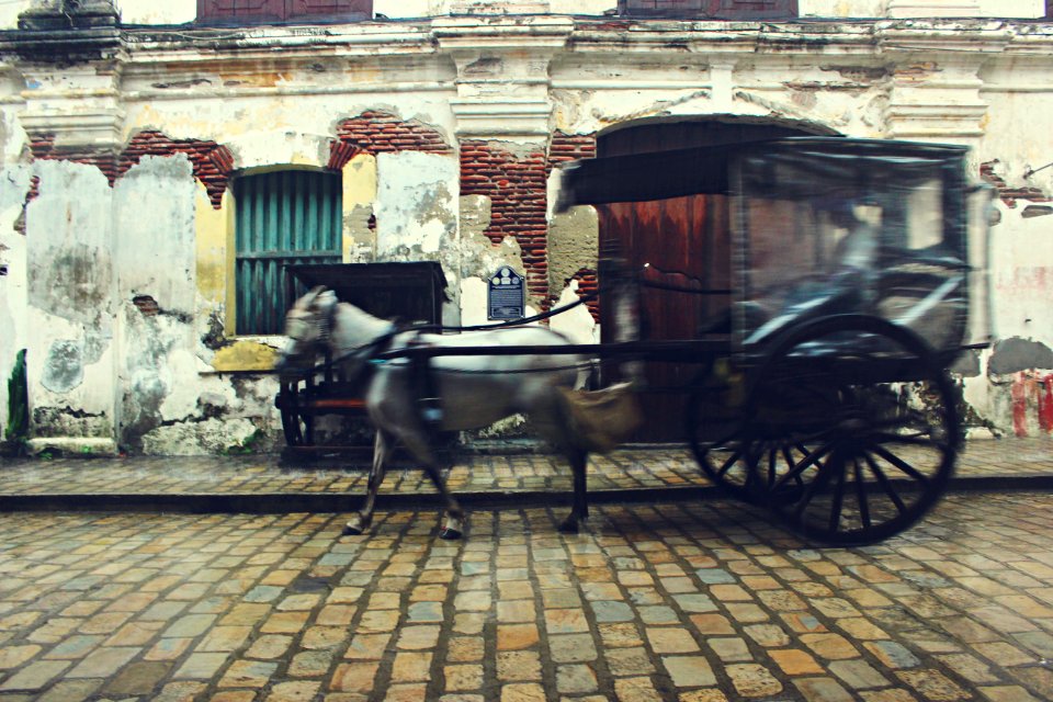 Street, Horse, Vintage