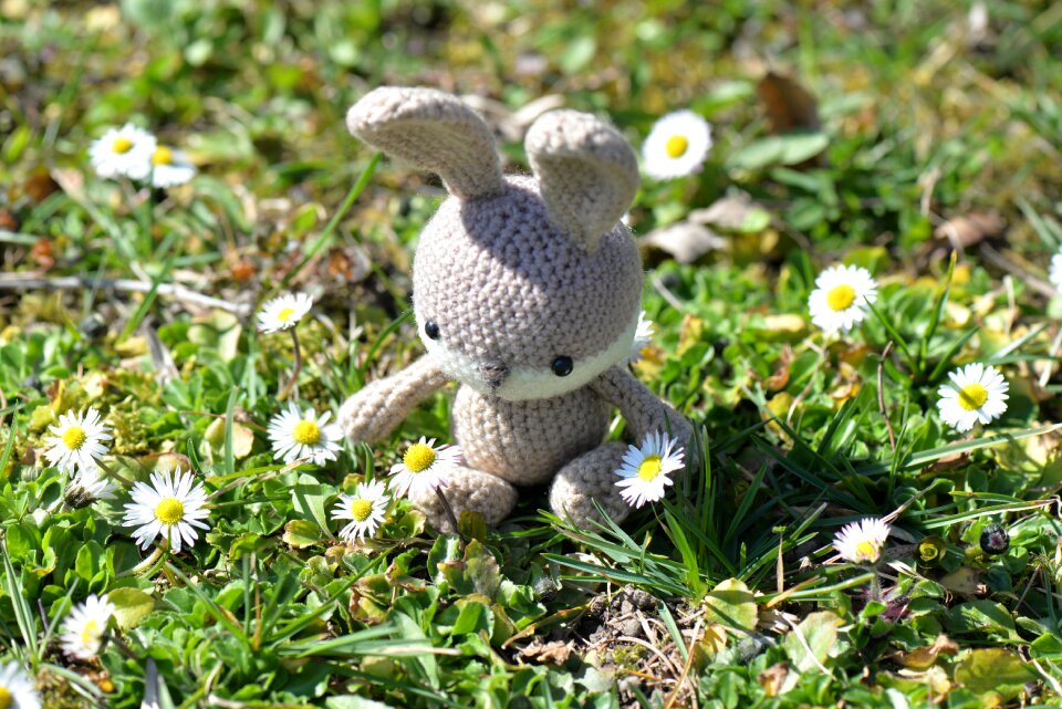 Figure flowers meadow