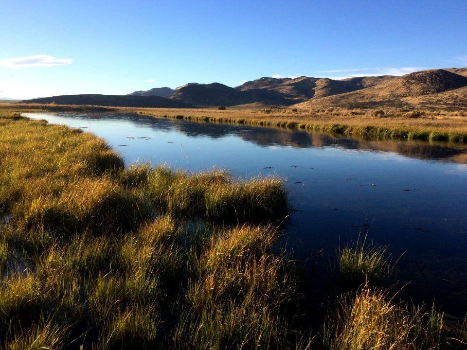 Silver creek, United states, Reflection