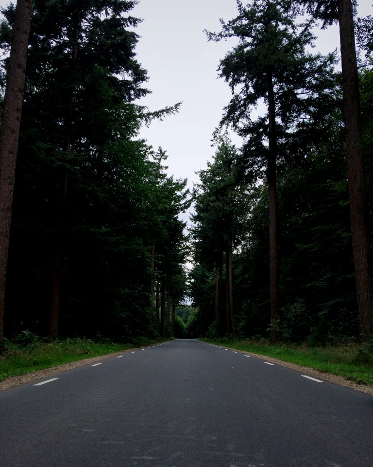 Ermelo, Gelderl, Nederl