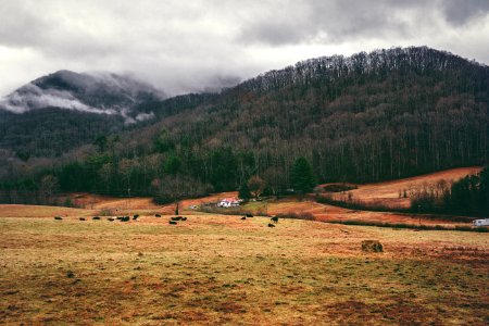 grass field under cloudy sky during daytime photo