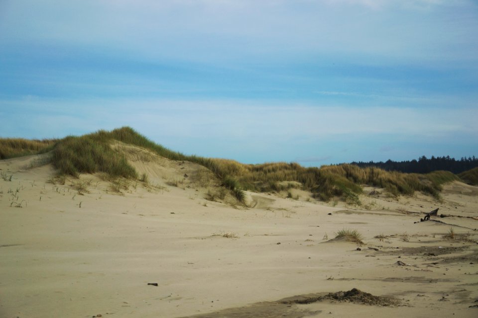 Newport, United states