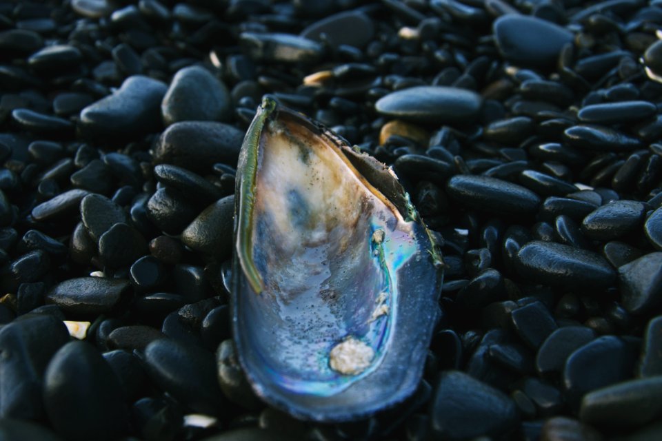 Heceta beach, United states