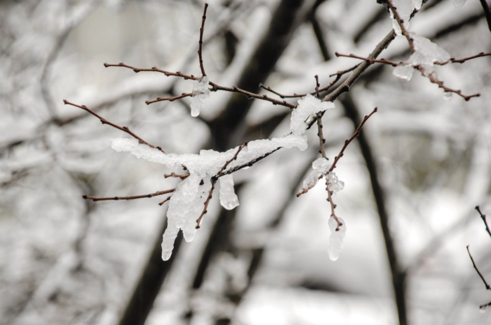 Redding, United states, Winter