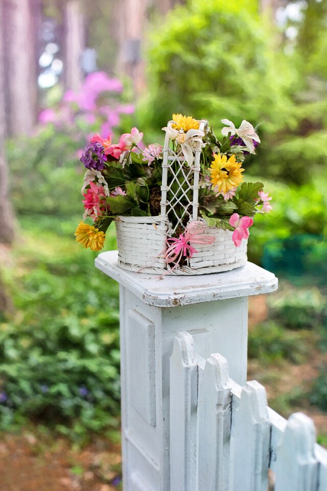 Blossoms fence post fence