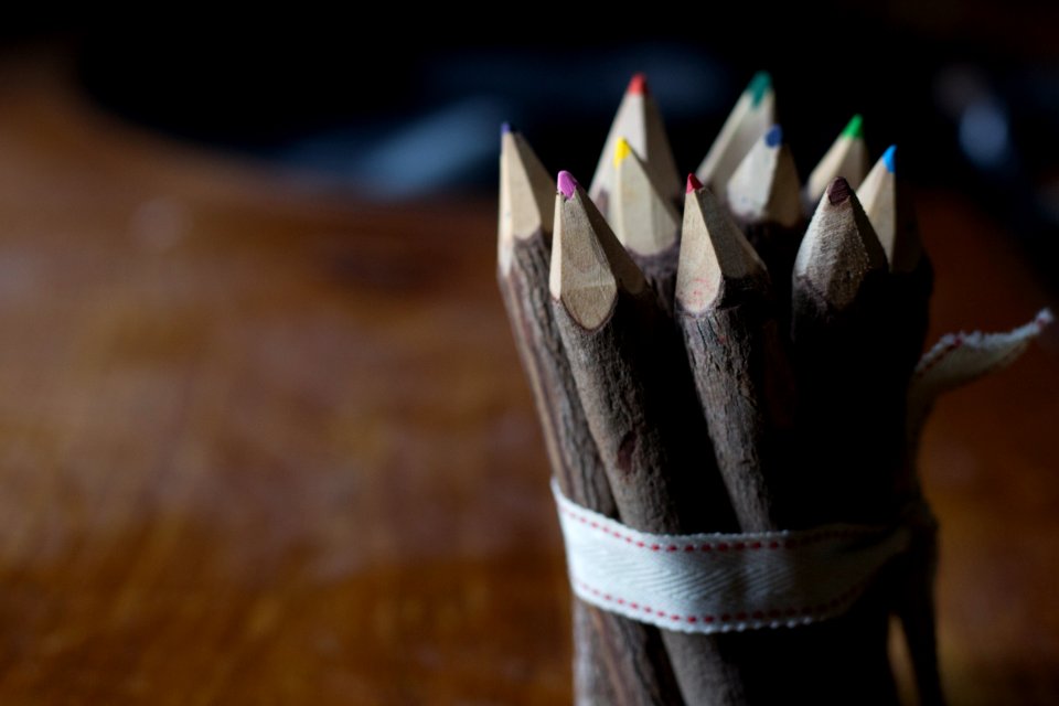 Pencil, Trees, Bark