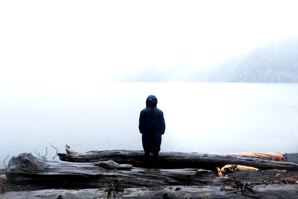 man standing beside tree logs facing body of water